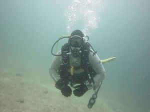 Dive Dive